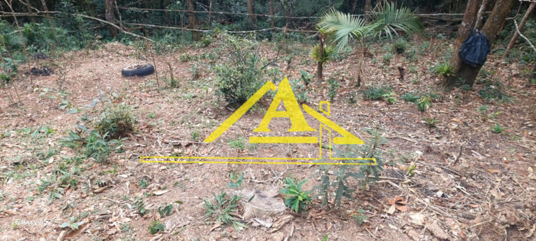 WhatsApp-Image-2025-06-21-at-12.04.23-1