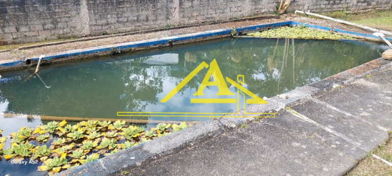 WhatsApp-Image-2025-08-16-at-08.31.25-1